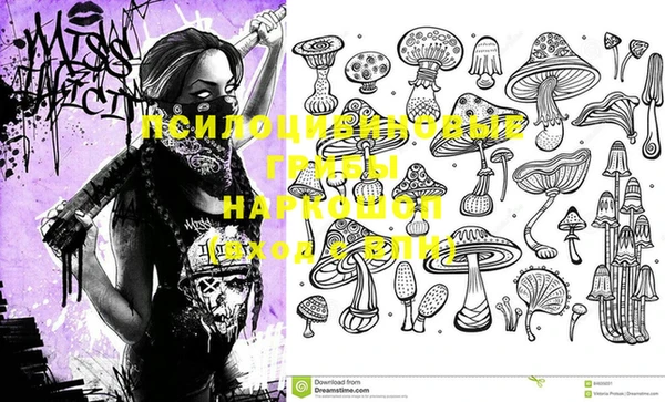 марки lsd Елизово