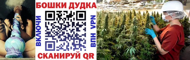 Шишки марихуана марихуана  Тобольск 