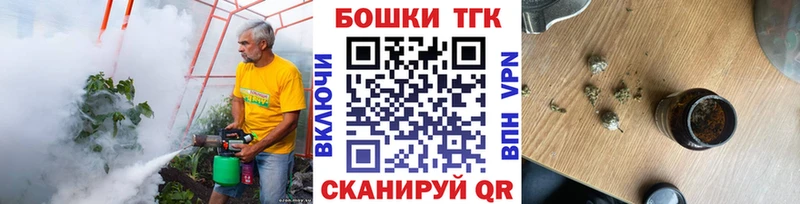 Бошки Шишки планчик Тобольск
